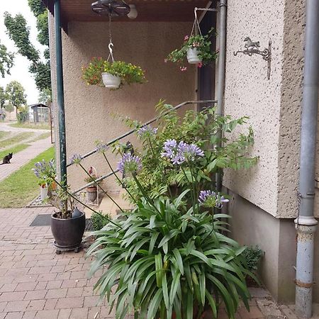 Ferienwohnung Siebmann Нойрупин Екстериор снимка