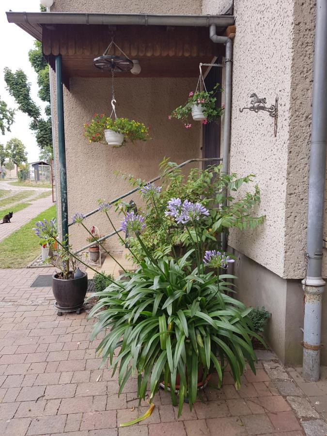 Ferienwohnung Siebmann Нойрупин Екстериор снимка